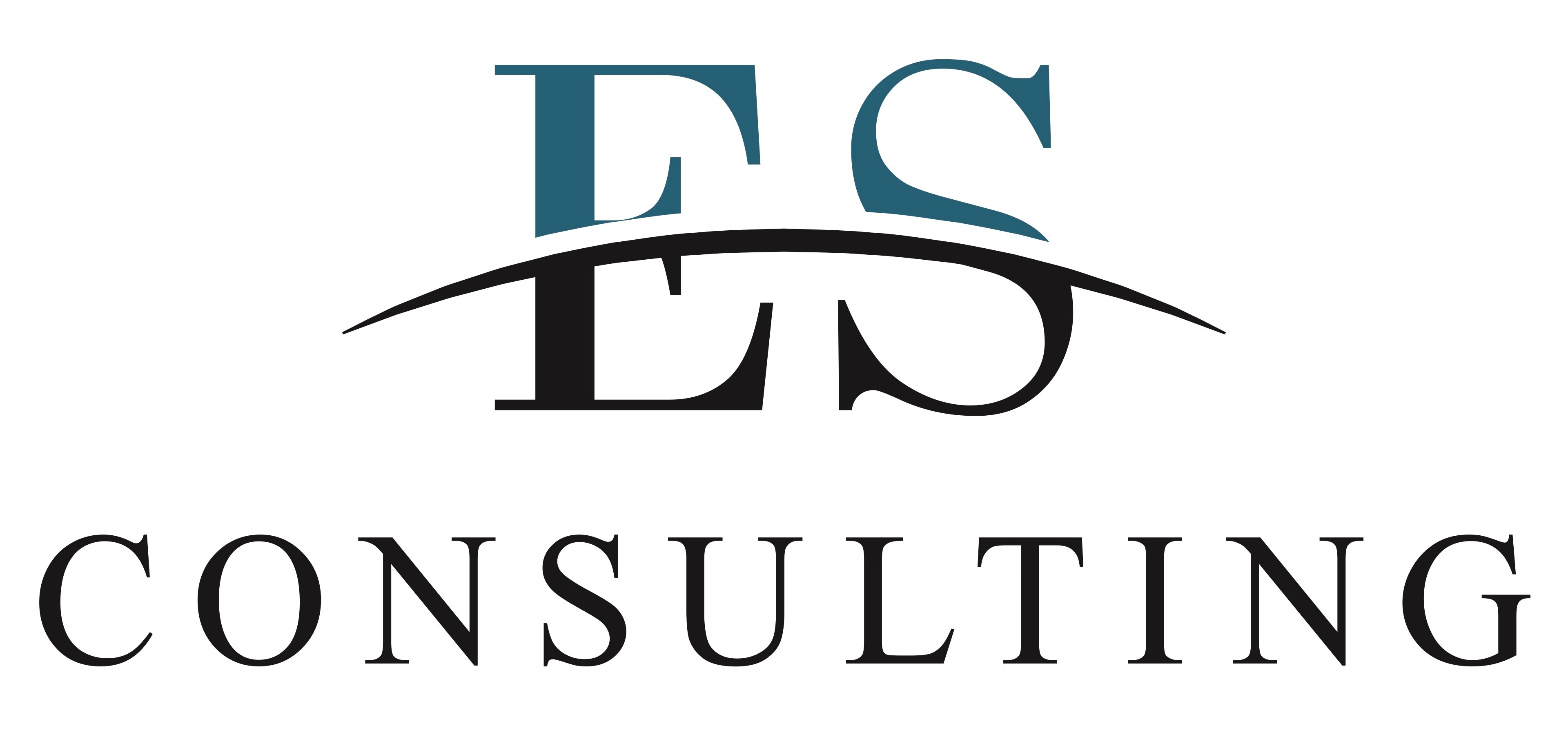Logo von ES Consulting GmbH